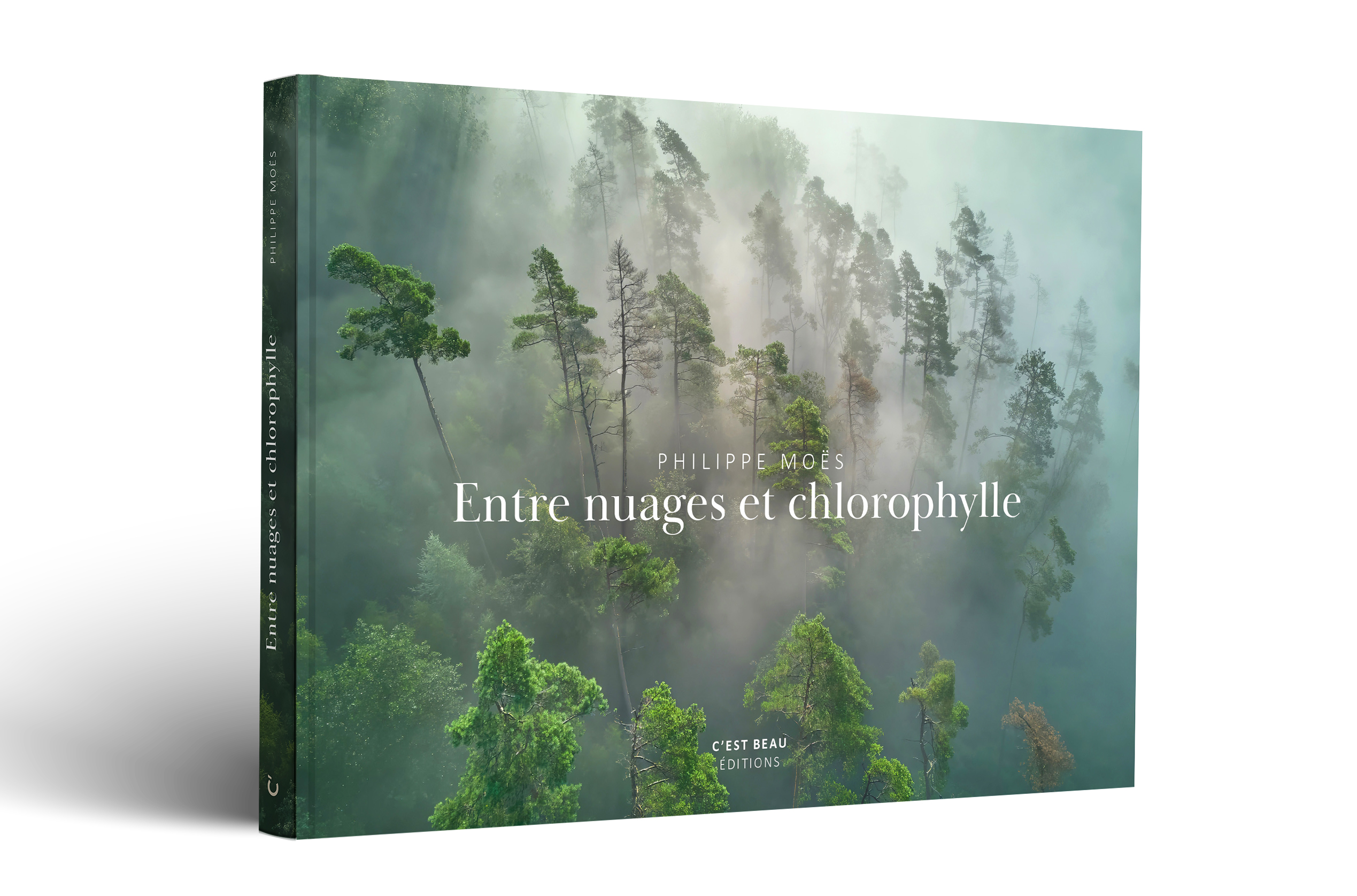 Entre nuages et chlorophylle