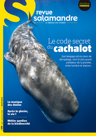 Le code secret du cachalot (N°295)