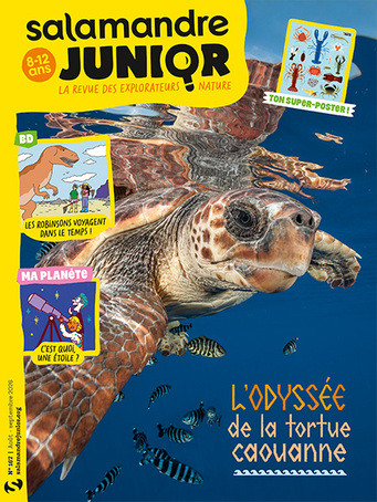 L’odyssée de la tortue caouanne (n°167)